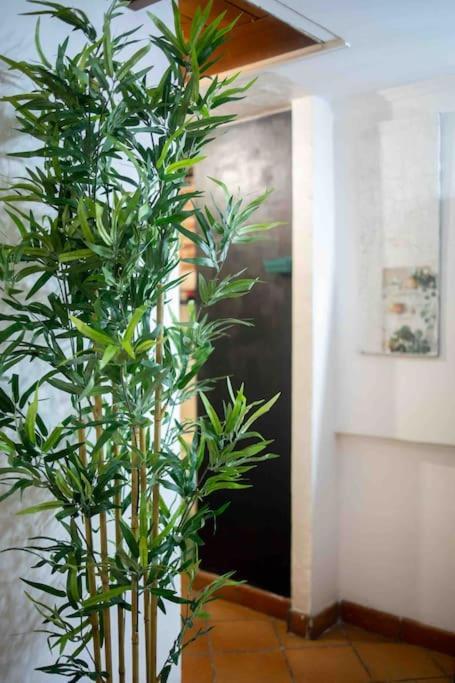 Апартаменты Via Dei Cestari Loft Рим Экстерьер фото